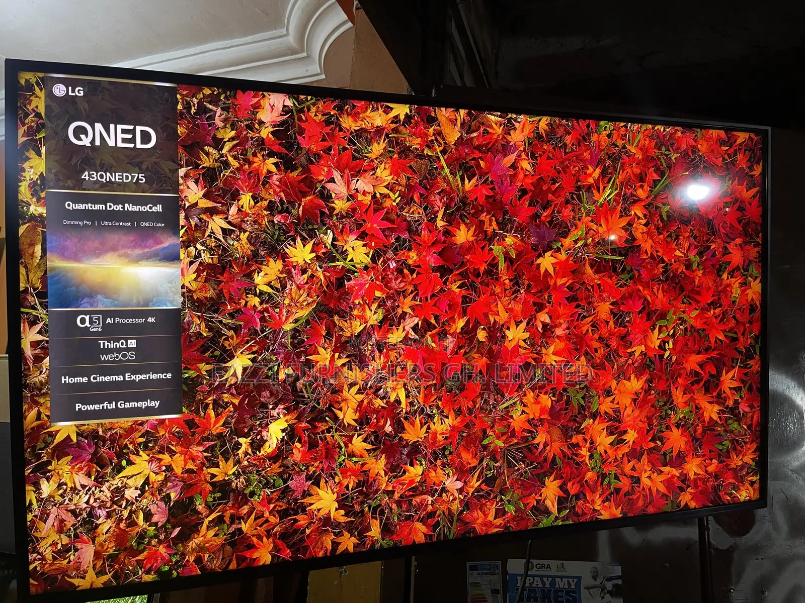 Vivid Qned LG 43 Inche Smart Uhd Hdr10 Satellite Gaming TV 43QNED75