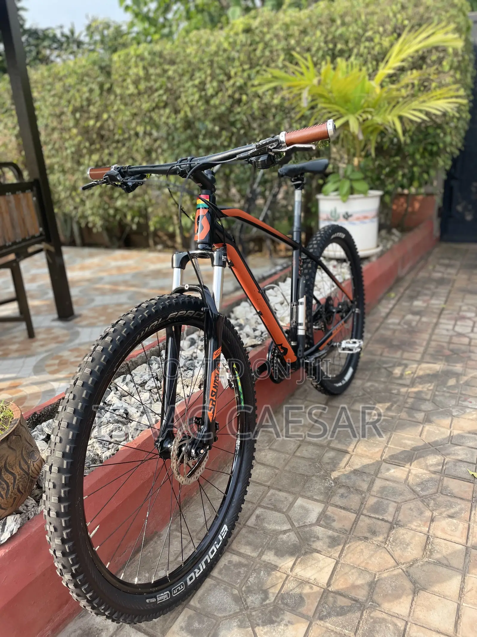 Size 29 Mountain Bike