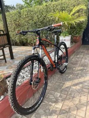 Size 29 Mountain Bike