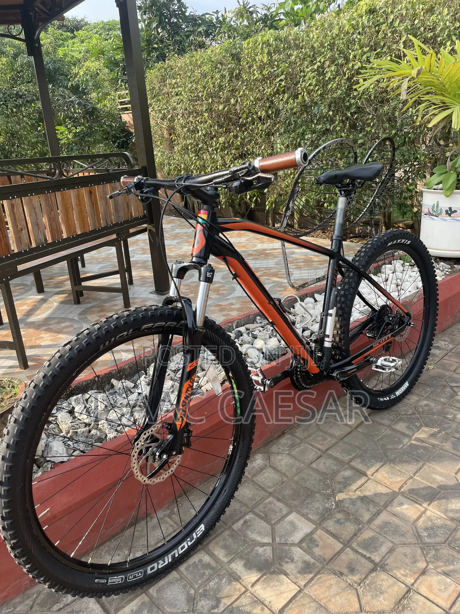Size 29 Mountain Bike