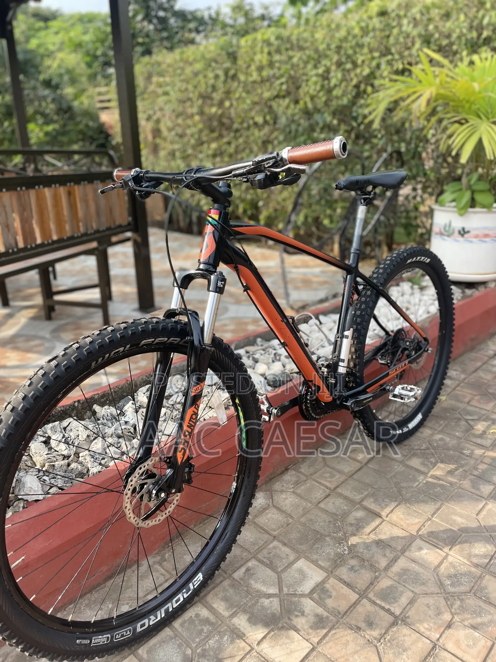 Size 29 Mountain Bike