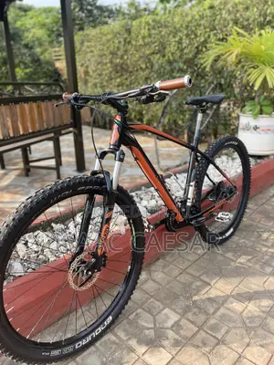 Size 29 Mountain Bike