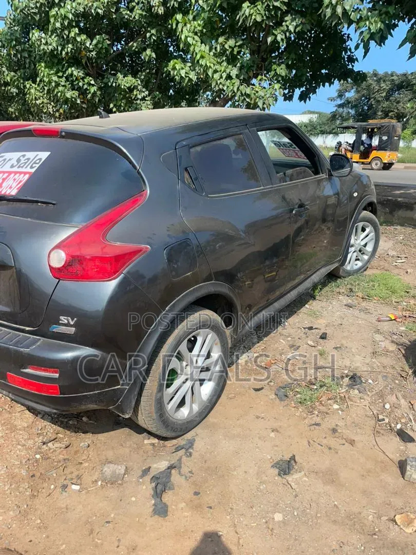 Nissan Juke 2012 Brown