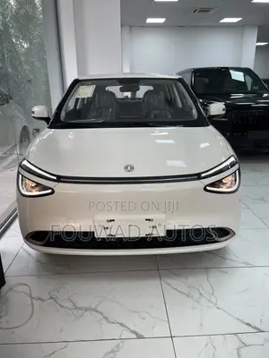 New Dongfeng Nammi Box 42.3 kWh FWD 2025 White