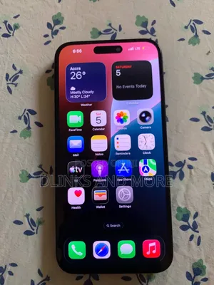 Apple iPhone 15 Pro Max 256 GB Gray