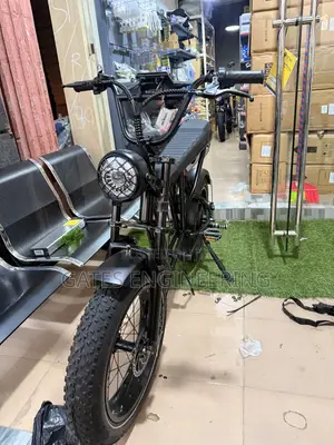 Wahu Ebike