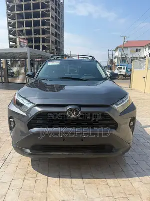 Toyota RAV4 XLE Premium AWD 2024 Gray