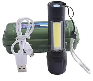 Torchlight