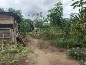 3 Plots for Sale at Ayeduase ( KNUST) Hostel Plots.