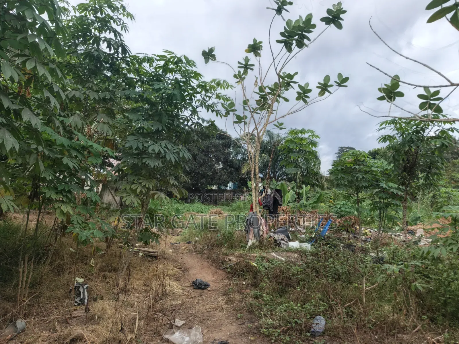 3 Plots for Sale at Ayeduase ( KNUST) Hostel Plots.
