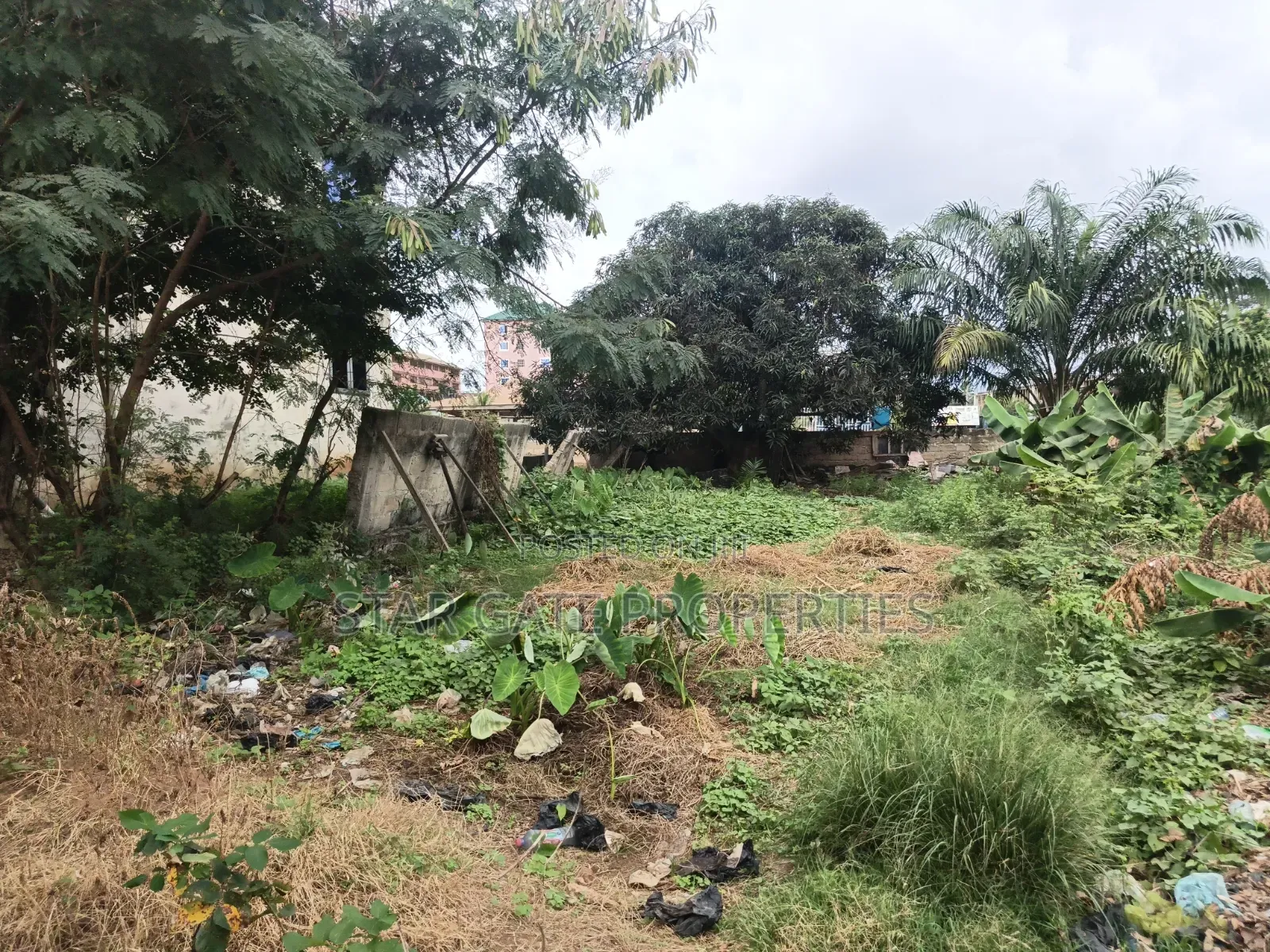 3 Plots for Sale at Ayeduase ( KNUST) Hostel Plots.