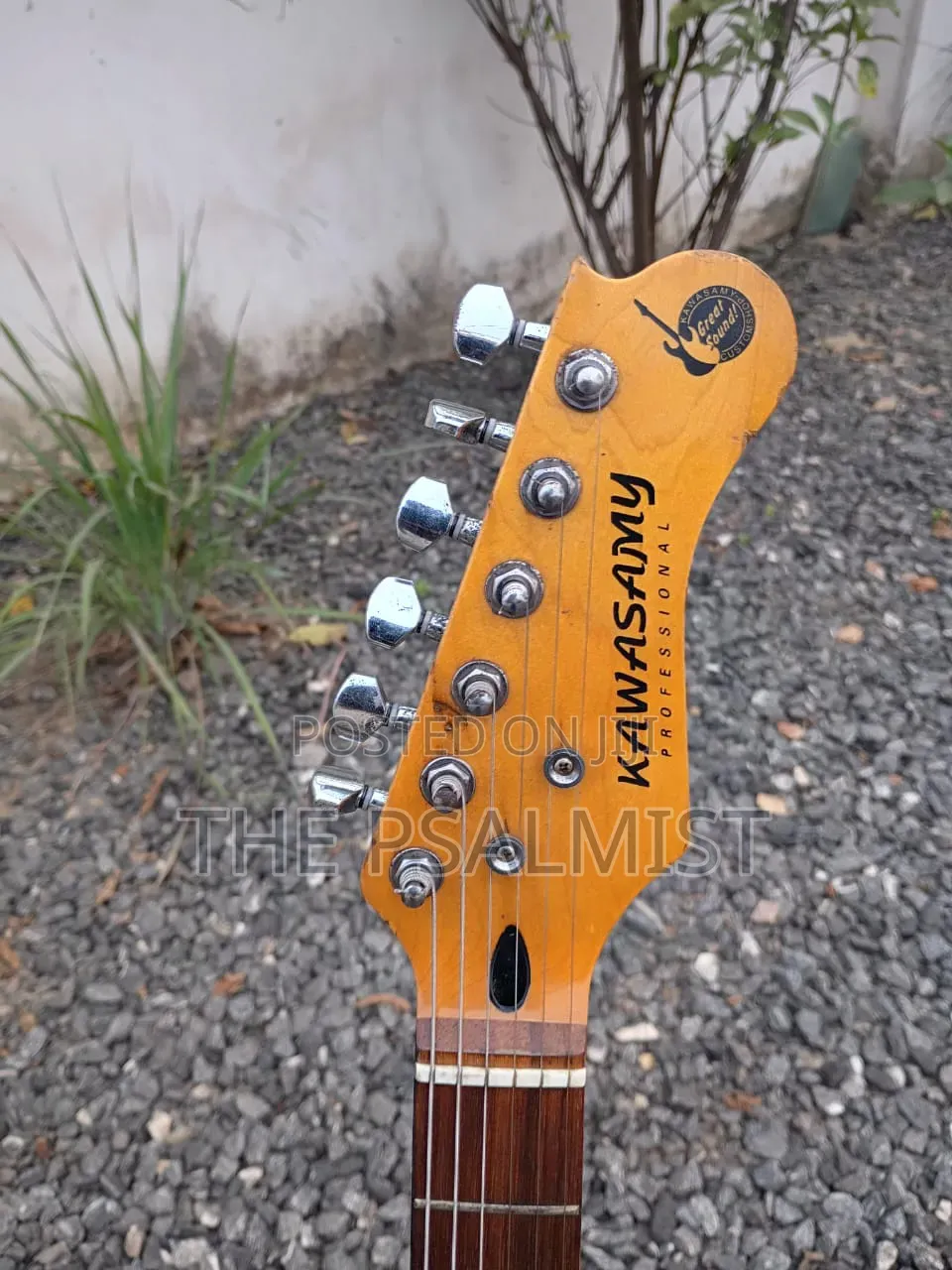 Kawasamy SME4 Professional Guitar