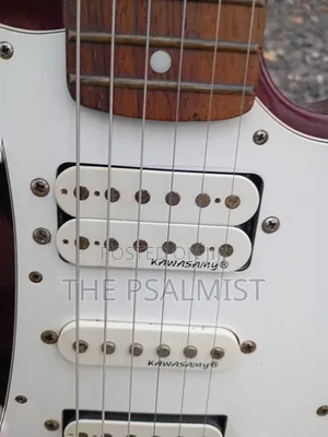 Kawasamy SME4 Professional Guitar