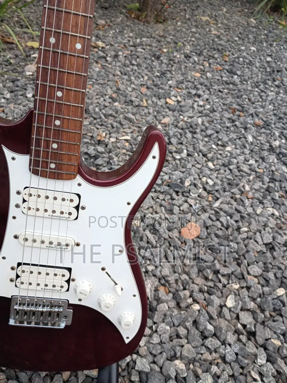 Kawasamy SME4 Professional Guitar