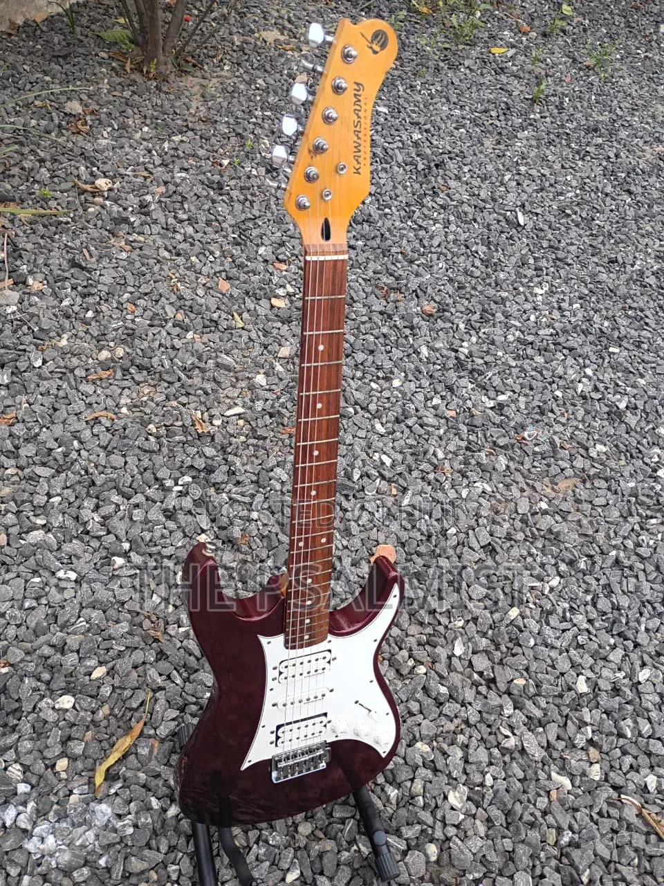Kawasamy SME4 Professional Guitar