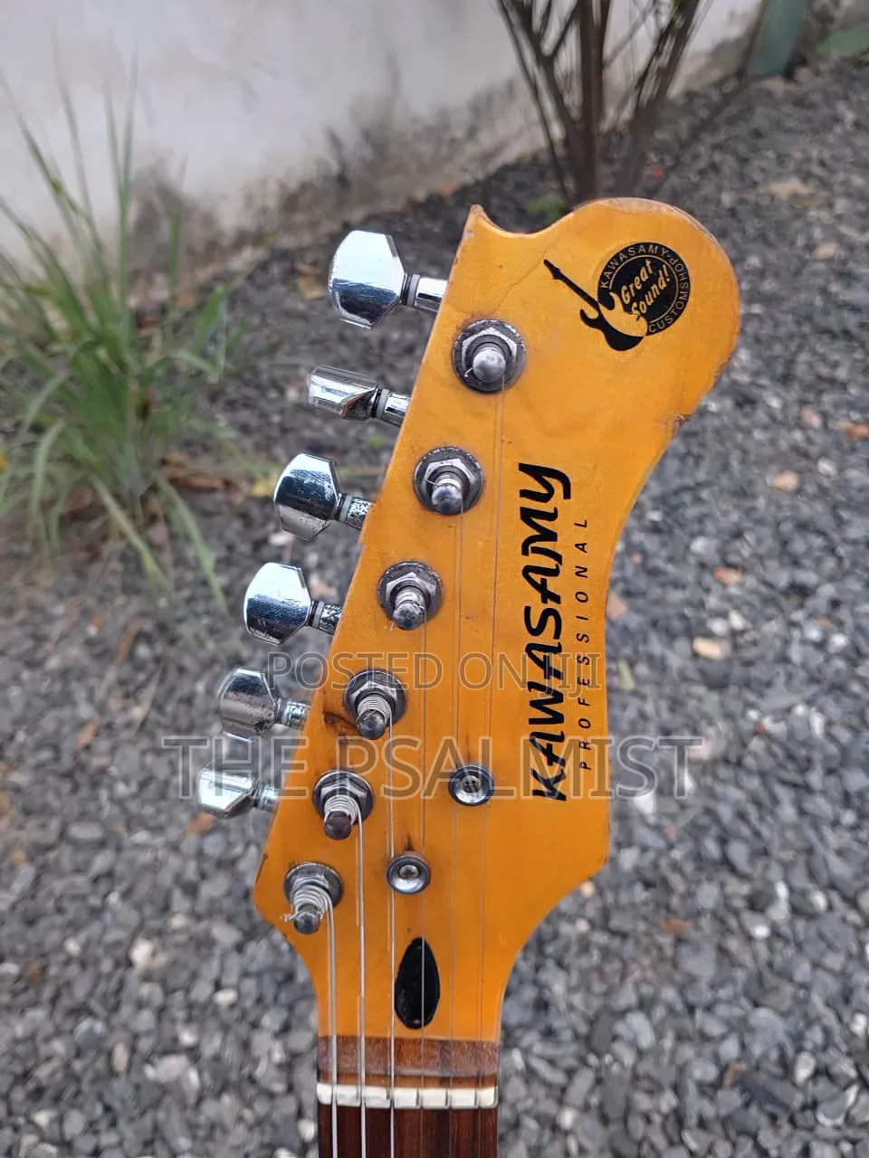 Kawasamy SME4 Professional Guitar