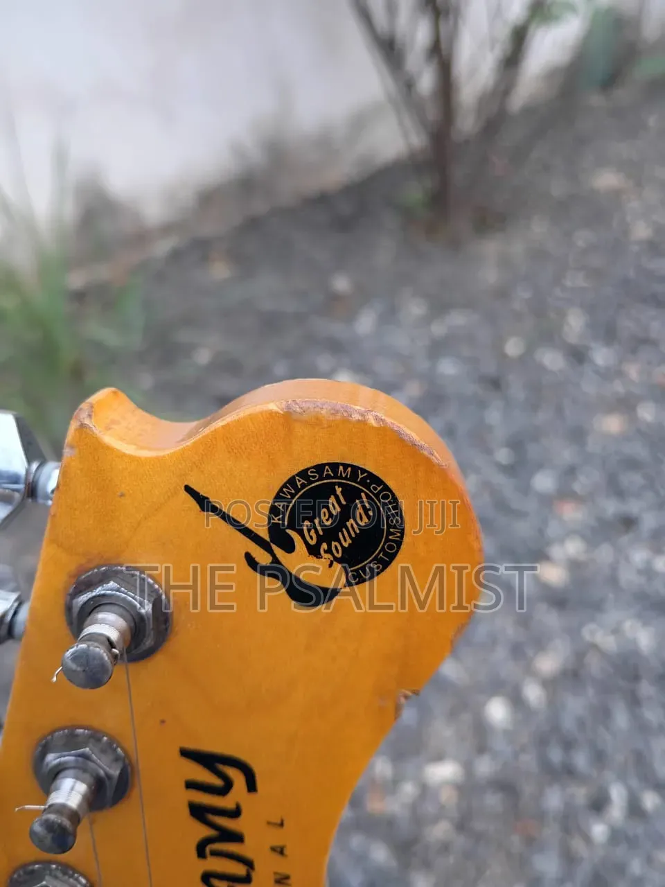 Kawasamy SME4 Professional Guitar