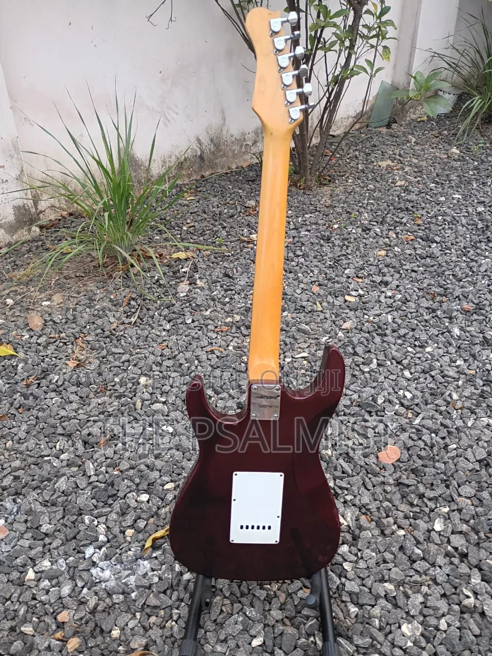 Kawasamy SME4 Professional Guitar