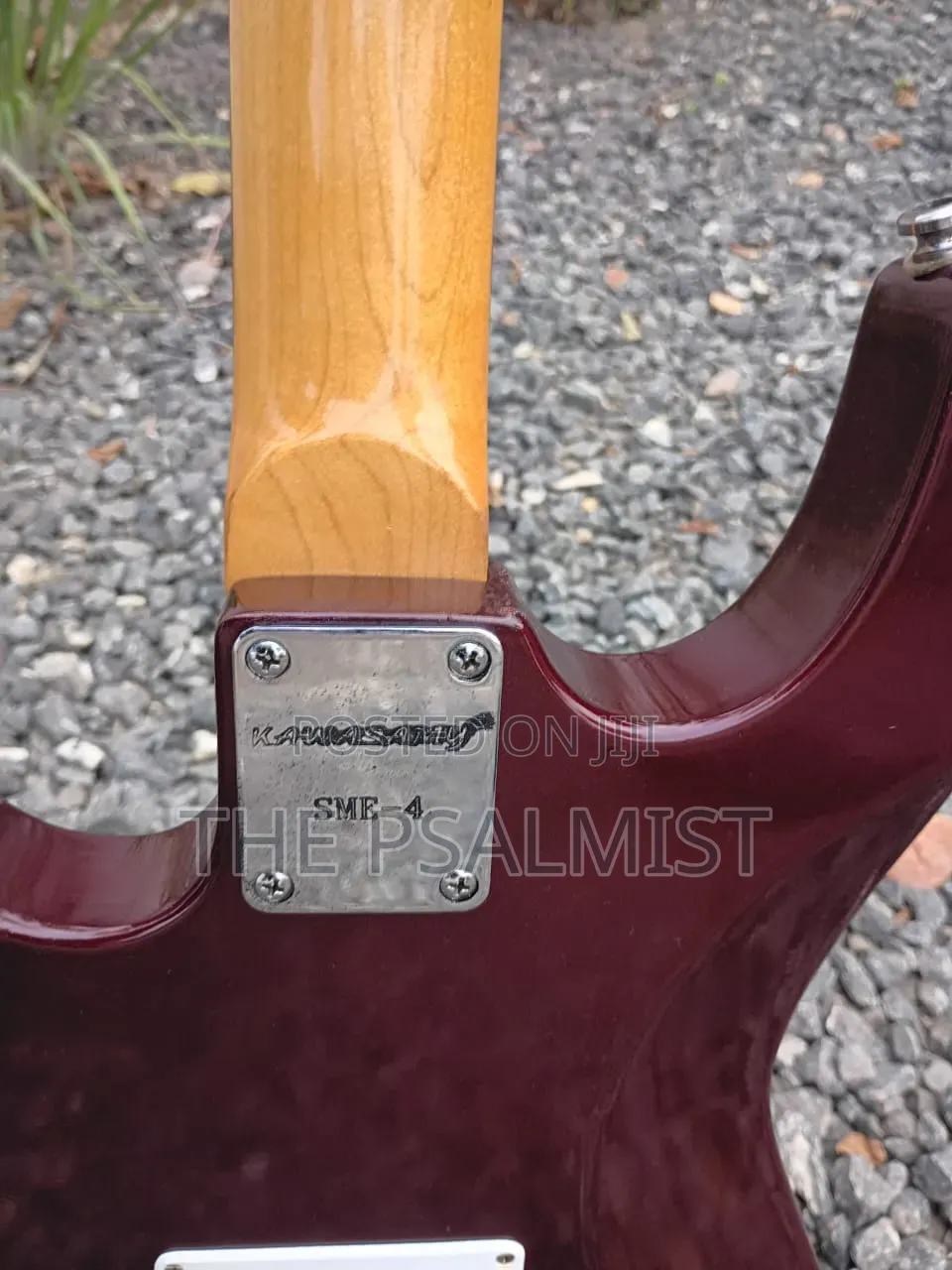 Kawasamy SME4 Professional Guitar