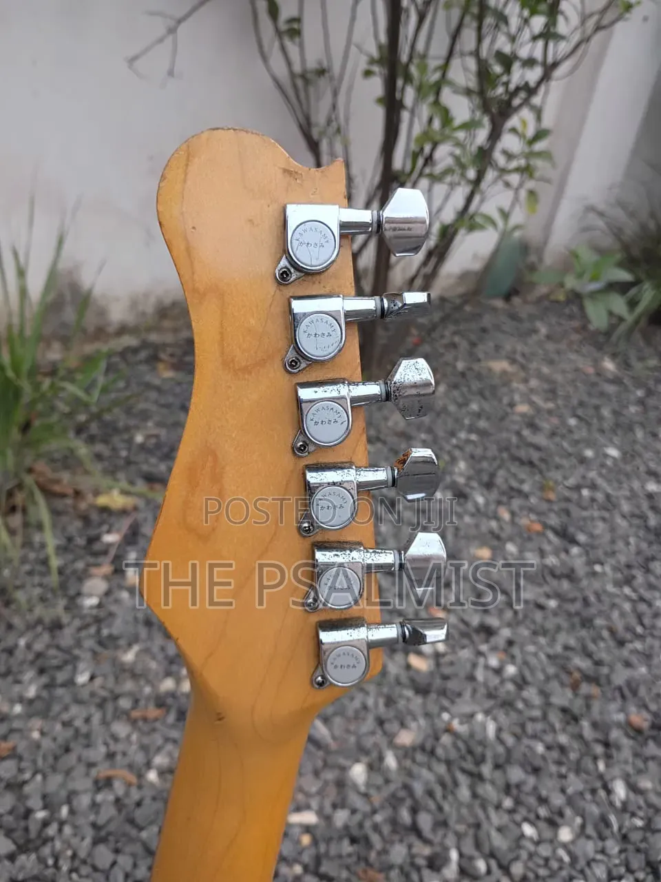 Kawasamy SME4 Professional Guitar