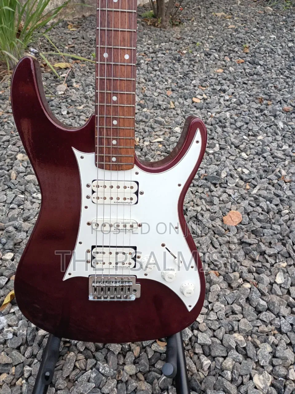 Kawasamy SME4 Professional Guitar