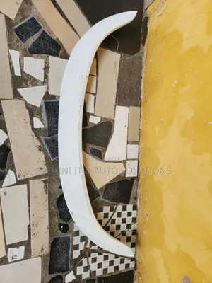 Hyundai Elantra Spoiler