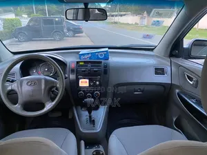 Hyundai Tucson 2009 Blue