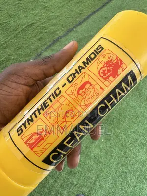 Car Clean Charm Rug