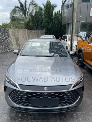 New BYD Qin Plus DM-i 2025 Silver