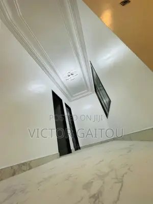 PROFESSIONAL PAINTER - Accra