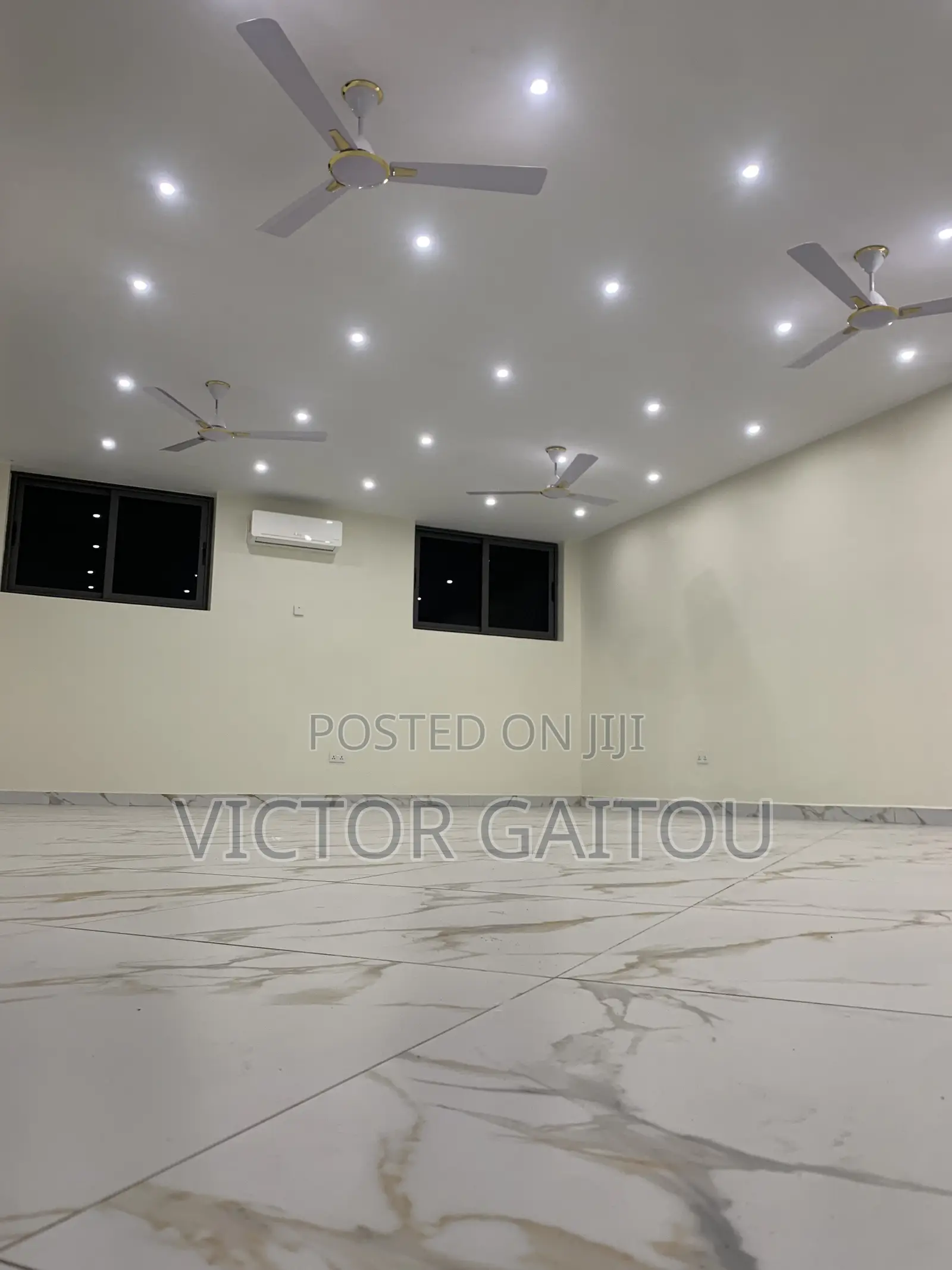 PROFESSIONAL PAINTER - Accra
