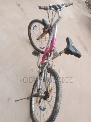 Mountain Spring Bike