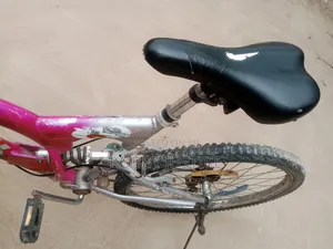 Mountain Spring Bike