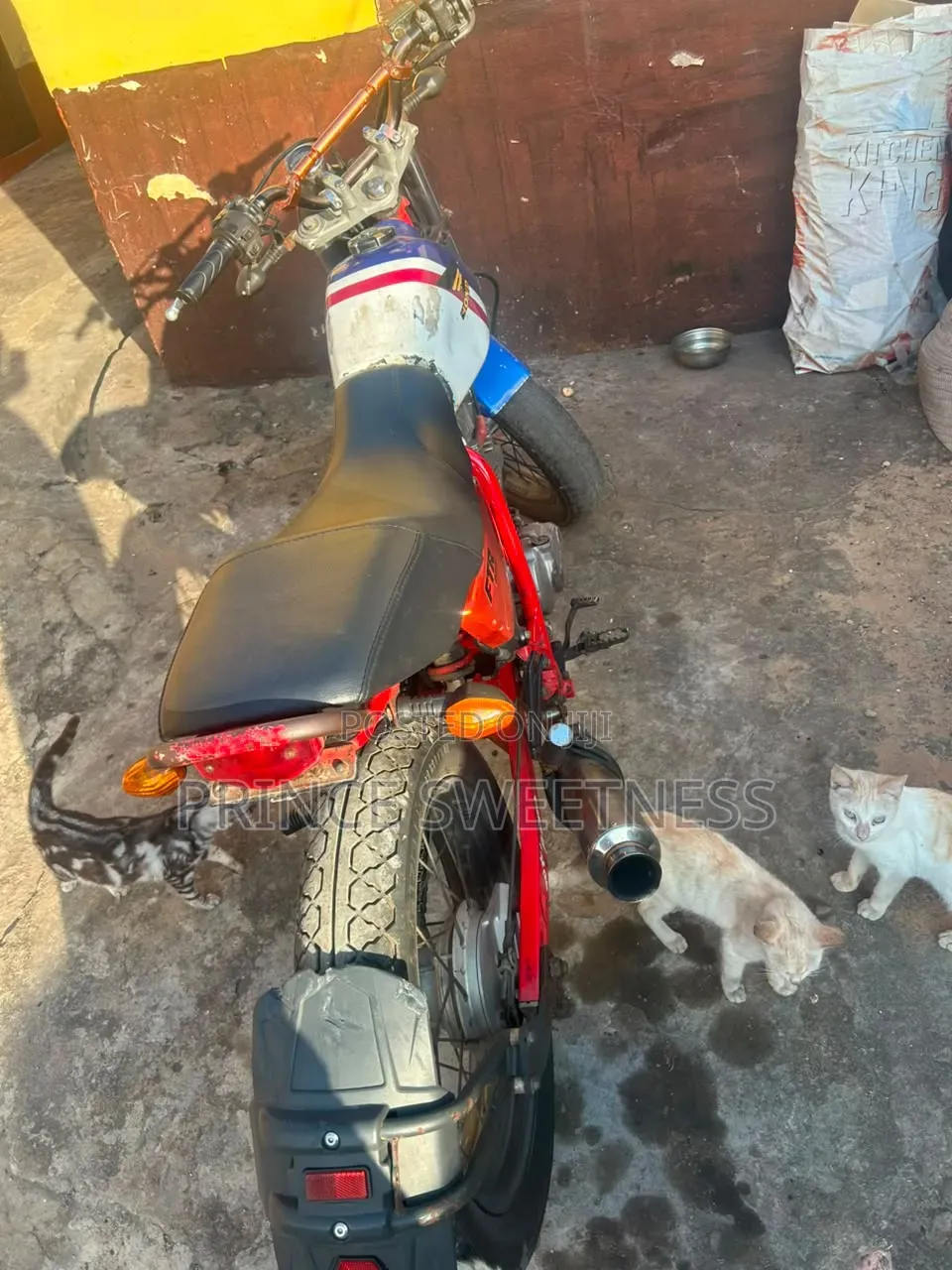 Honda 2020 Orange