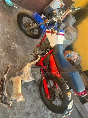 Honda 2020 Orange