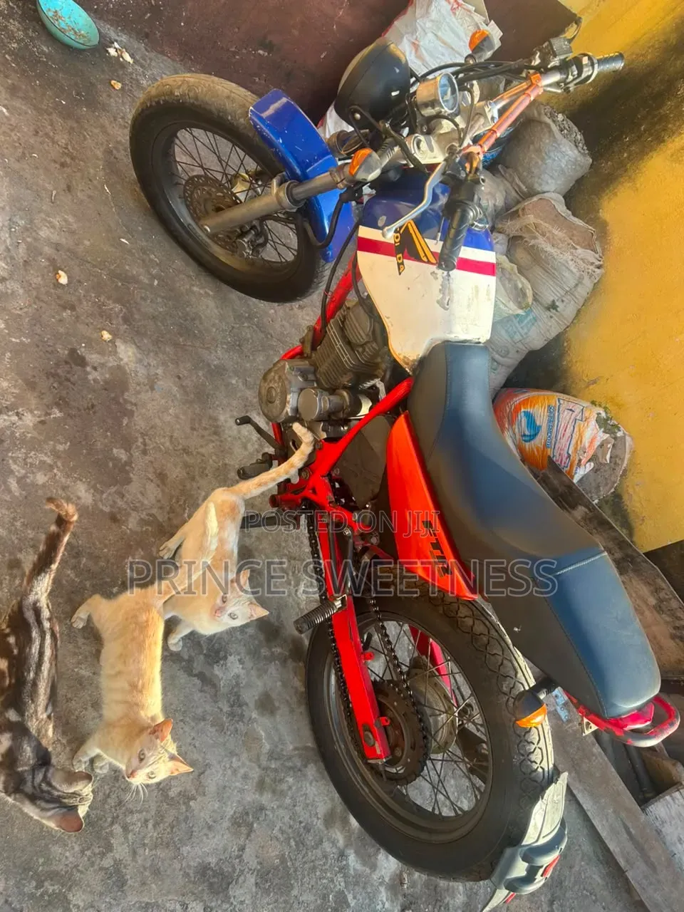 Honda 2020 Orange