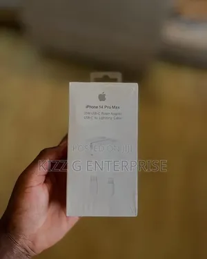 Original iPhone Charger Type C