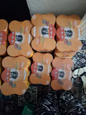 Dogs Food and Accessories