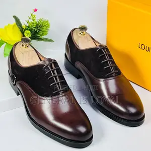Louis Vuitton Brown Shoe With Combination of Leather and Suede