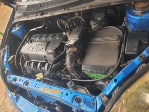 Toyota Echo 2004 Blue