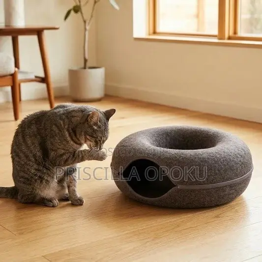 Doughnut Bee Designed for Cats and Small Pets