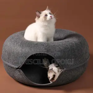 Doughnut Bee Designed for Cats and Small Pets