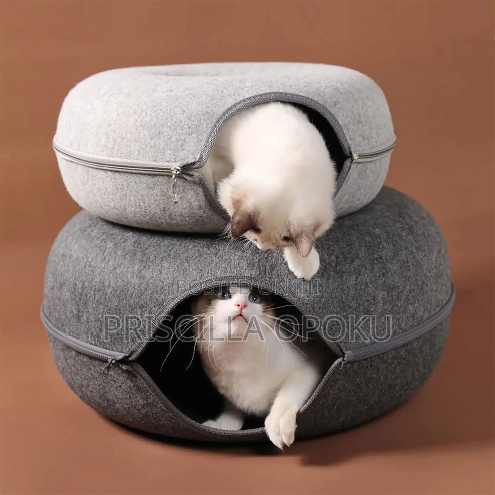 Doughnut Bee Designed for Cats and Small Pets
