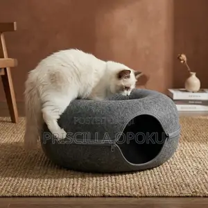 Doughnut Bee Designed for Cats and Small Pets