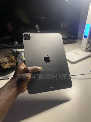 Apple iPad Pro 11 (2024) 128 GB Gray