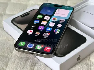 Apple iPhone 15 Pro Max 256 GB Silver