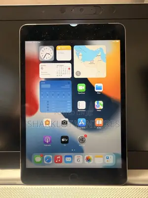 Apple iPad mini 4 16 GB Black