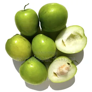 Fresh Thai Jujube Fruit Pack