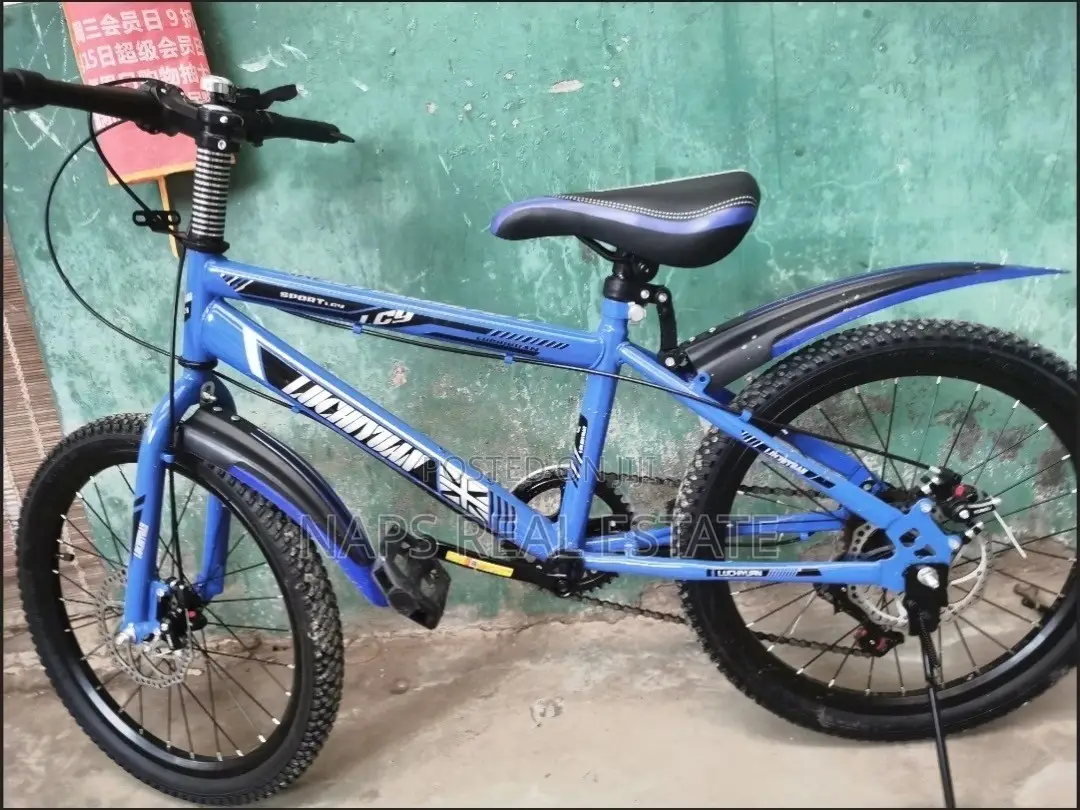 20 Inches Kids Mountain Bike for Sale