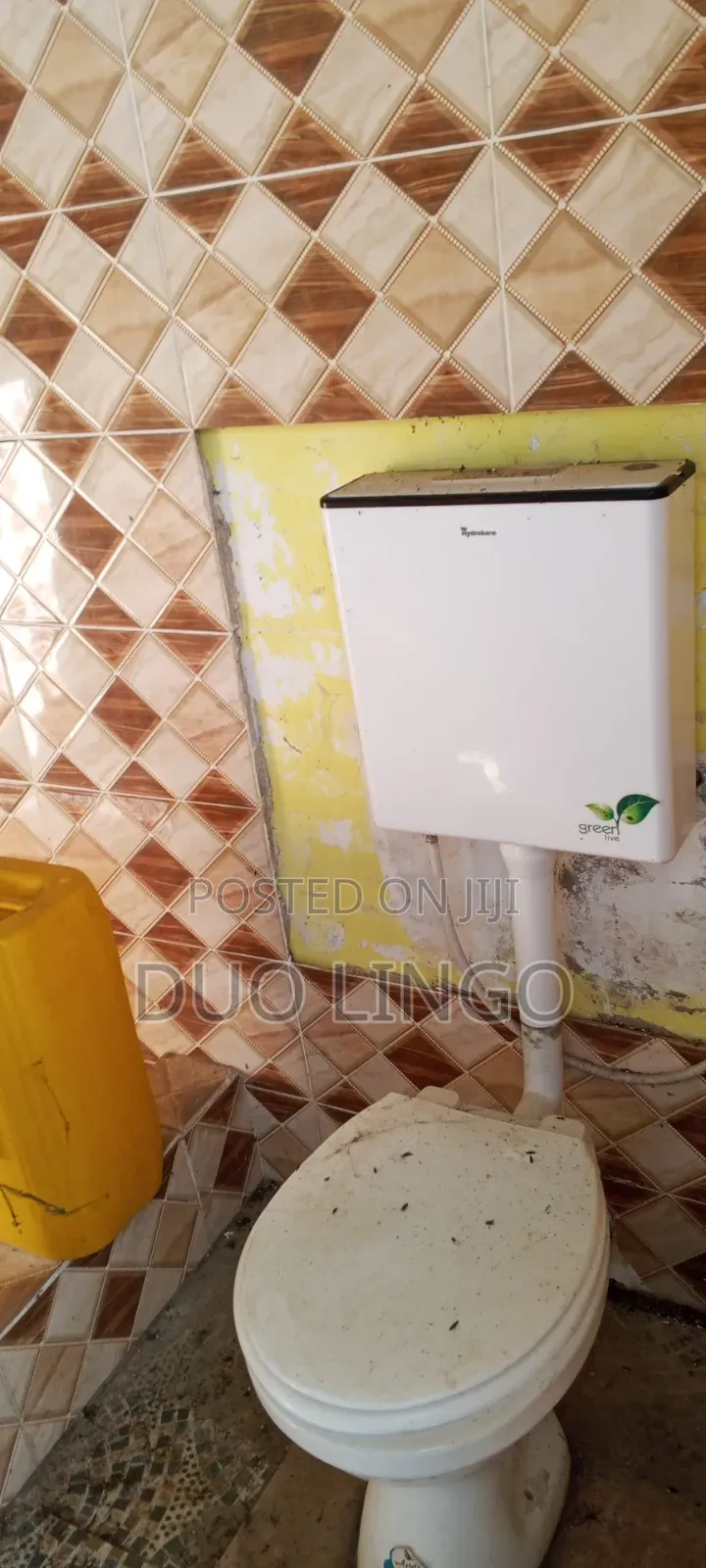 1bdrm Apartment in Palm Lands, Takoradi for rent
